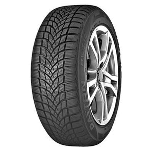 DAYTON DW510 EVO XL 205/50 R17 93V