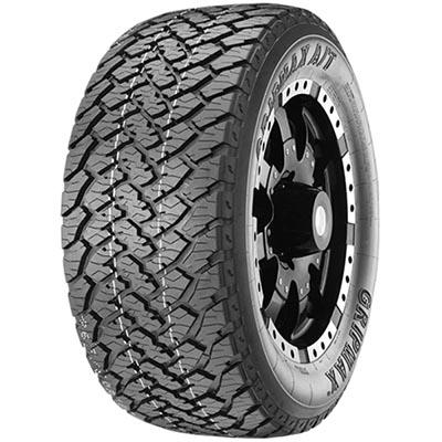 GRIPMAX INCEPTION AT 205/70 R15 96T