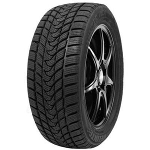 DELINTE WD 1 195/55 R15 85H